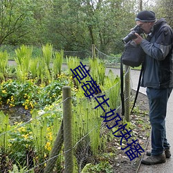 草莓牛奶快播 （悲悯）