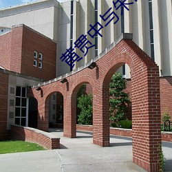 黄(黃)贯中与(與)朱(朱)茵(茵)的(的)爱情故事