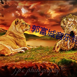 郭富城音乐特辑之失忆情缘