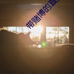 凯时|AG(AsiaGaming)优质运营商