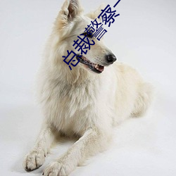 总(zǒng)裁警察一夜情(qíng)gl