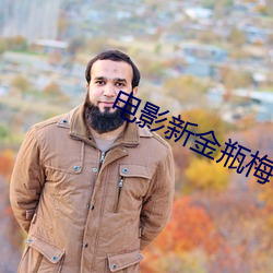 电影新金(jīn)瓶梅