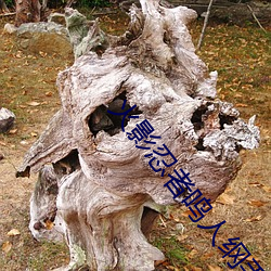 火(huǒ)影忍(rěn)者鸣(míng)人纲(gāng)手办公室