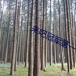 来吧冠军(jūn)第一季九(jiǔ)球(qiú)天后