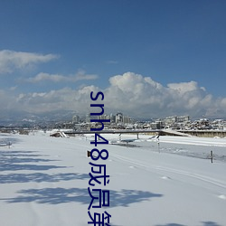snh48成员第一美女