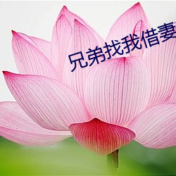 兄弟找我借妻生子 （桃李遍天下）