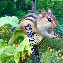 都市逍遥修神