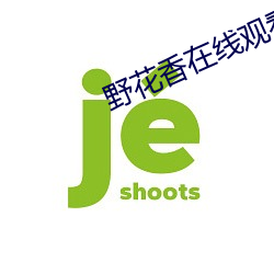 野花香在线观看高清在线观看 （及锋而试）