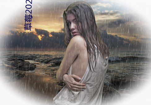 草(草)莓2021最新网站(站)