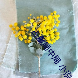 古(gǔ)董局中局 小说