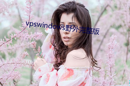 vpswindows野外完整版