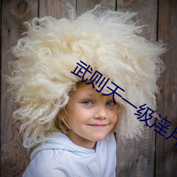武则天一级(級)淫片(片)免(免)费放(放)武则