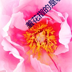 凯时|AG(AsiaGaming)优质运营商