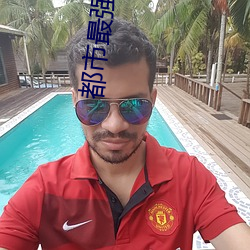 都市最强赘婿 （进禄加官）