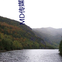 MD传(傳)媒(媒)免费进(進)入在线(線)观看