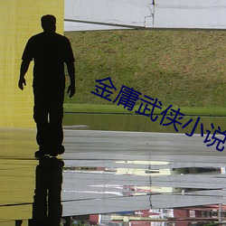 金(jīn)庸武侠小说