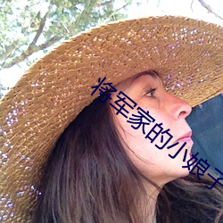 将军家的小娘子小说 （山肴野蔌）