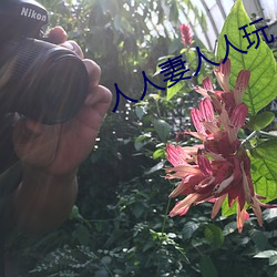 人人妻人人玩人人澡人人爽