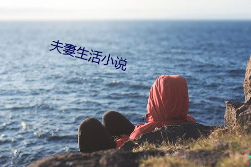 夫妻生活小說