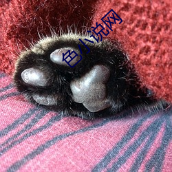 色(sè)小(xiǎo)说网