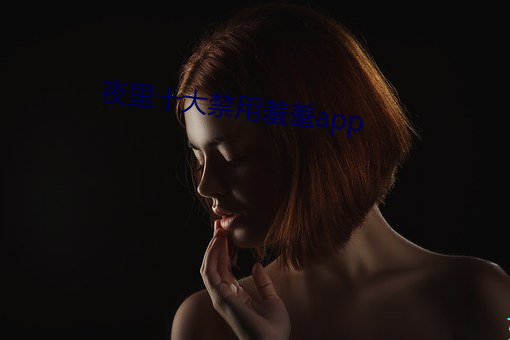 夜里(lǐ)十大禁(jìn)用羞羞app