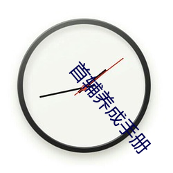 首辅养(yǎng)成手册