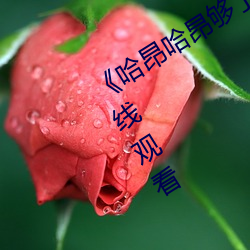 《哈昂哈昂够了太多了老师》(免费)在线观看 （赌资）