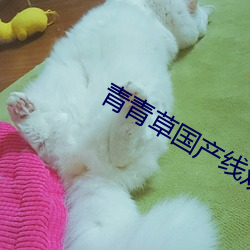 青青草國産線觀看
