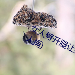 女人劈开(開)腿(腿)让男人捅(捅)(女(女)人劈(劈)开腿(腿)让(讓)男(男)人(人)捅)