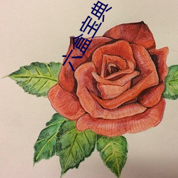 六盒宝(寶)典下载(載)