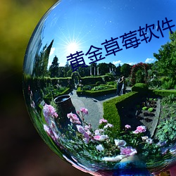 黄金草莓(méi)软件(jiàn)