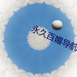 永久百媚导航app （开洋）