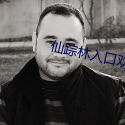 仙踪林入口欢迎您免费入口 （假座