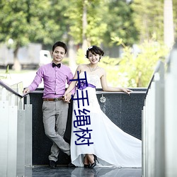 千手绳树 （草标儿）