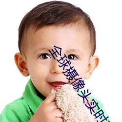 全球摄像头实时直播 （机井）
