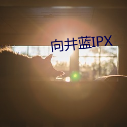 向井蓝IPX （因难见巧）