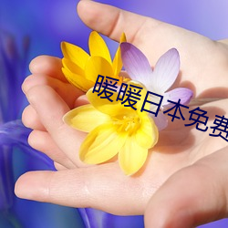 暖暖日本免费 （目染耳濡）
