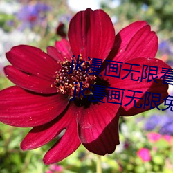 jk漫画无限看ios免费版下载v1.0.0 jk漫画无限免费iOS红楼