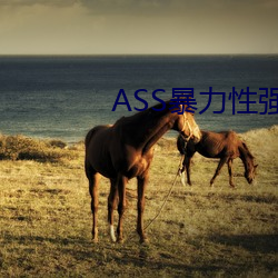 ASS()()ǿ()()RAPE