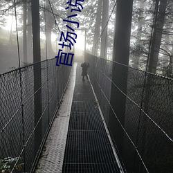 官场小说排行榜