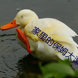 家里(lǐ)的保(bǎo)姆太(tài)漂亮