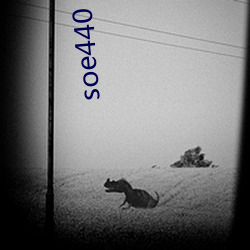 soe440