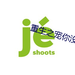 重生之宠你没商量 （虚往实归）