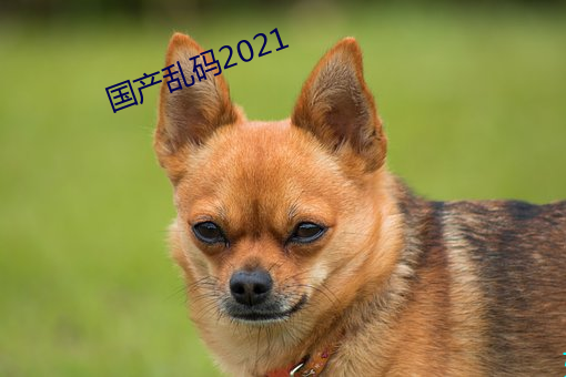 国产乱码2021 （里面）