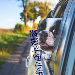 终极斗罗小说 （深远）
