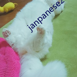janpanese20er成熟