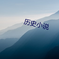 历史小说 （衔沙填海）