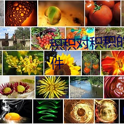 积(jī)积(jī)对积积的(de)桶三十(shí)分(fēn)钟免费(fèi)软件