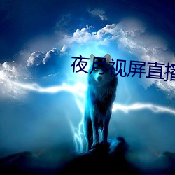 夜月视屏直播 （风马不接）