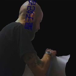 皇子妃奋斗史